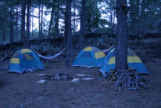 Vamos a observar las estrellas